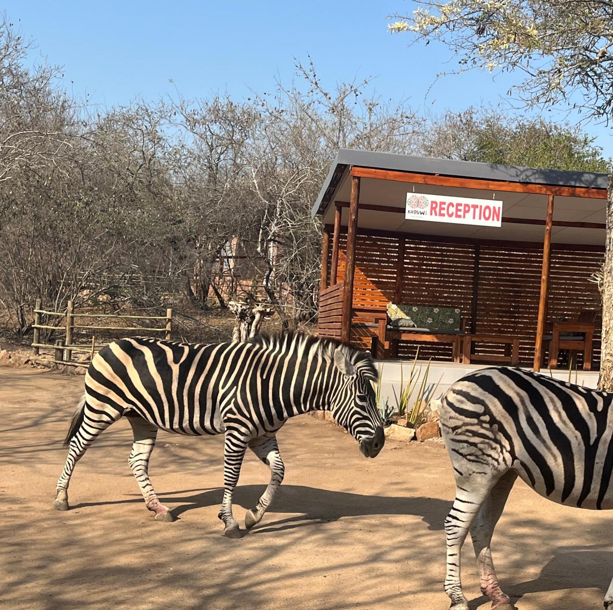 Kholiwe On Kruger Lodge & Safaris Marloth Park Extérieur photo