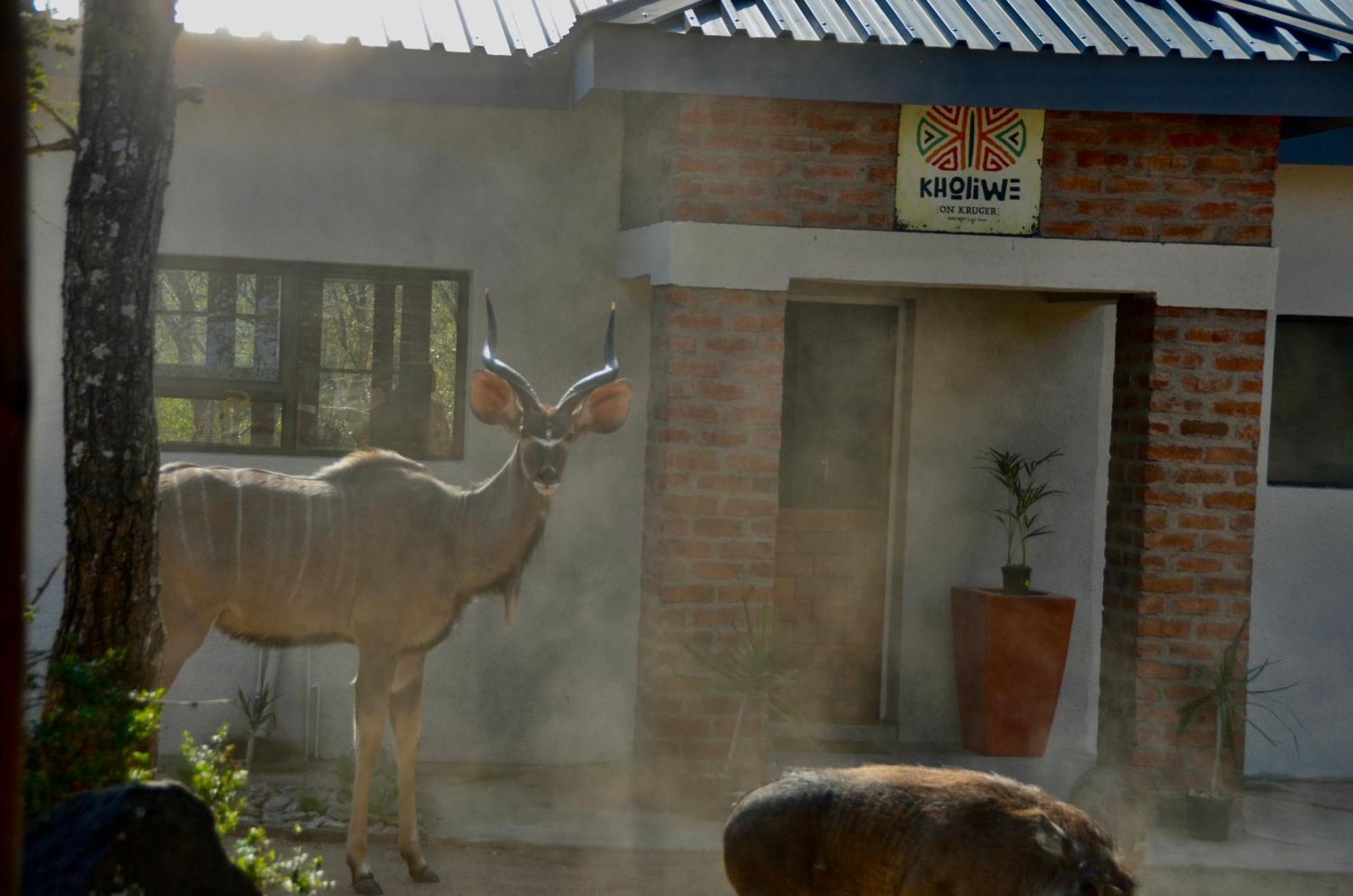 Kholiwe On Kruger Lodge & Safaris Marloth Park Extérieur photo
