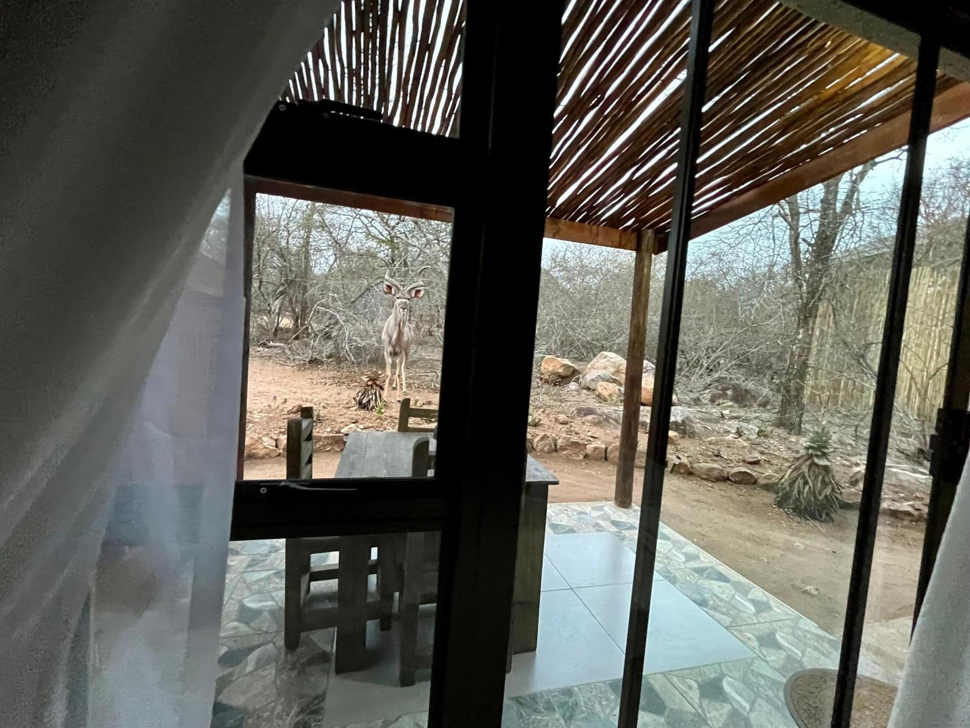 Kholiwe On Kruger Lodge & Safaris Marloth Park Extérieur photo