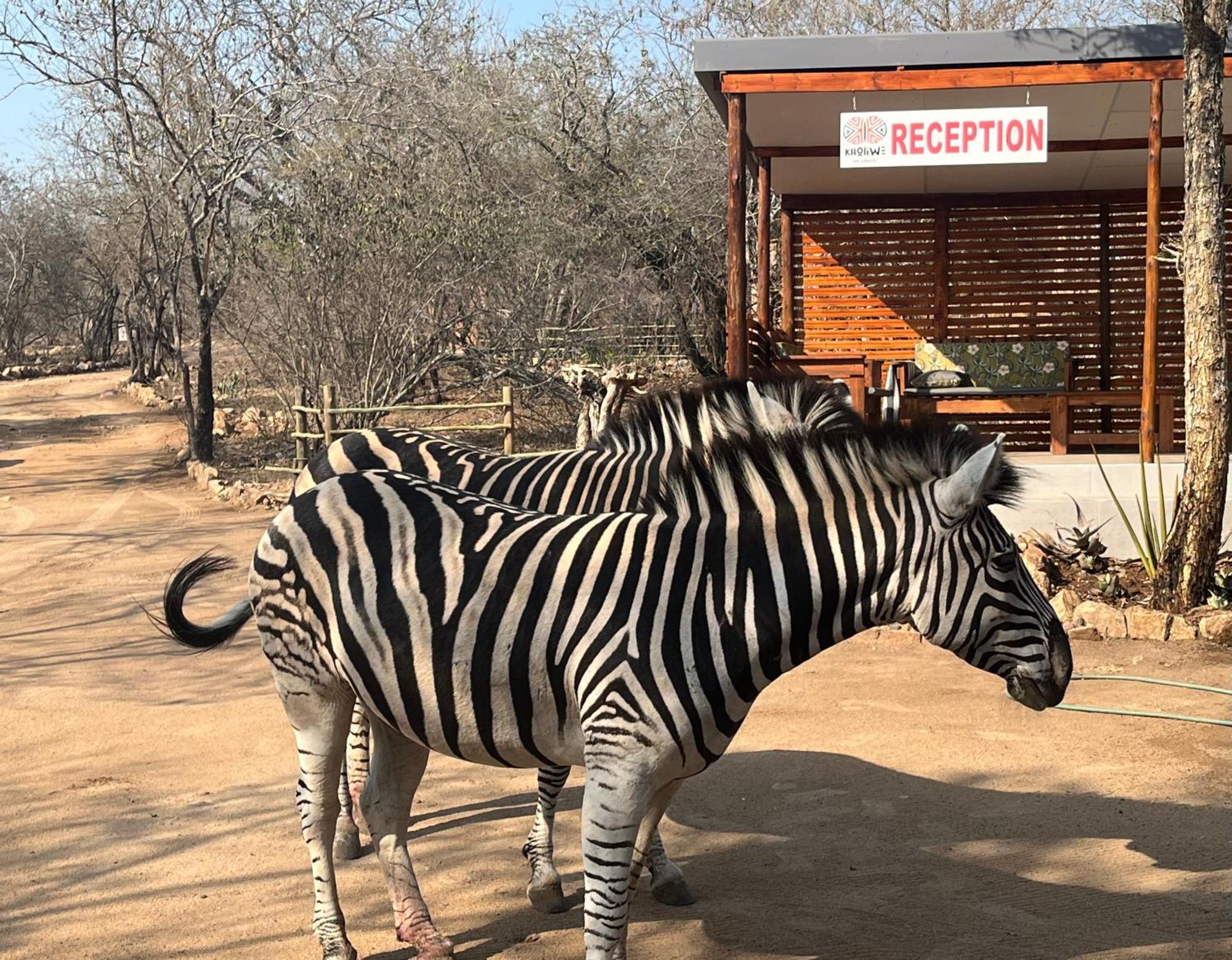 Kholiwe On Kruger Lodge & Safaris Marloth Park Extérieur photo