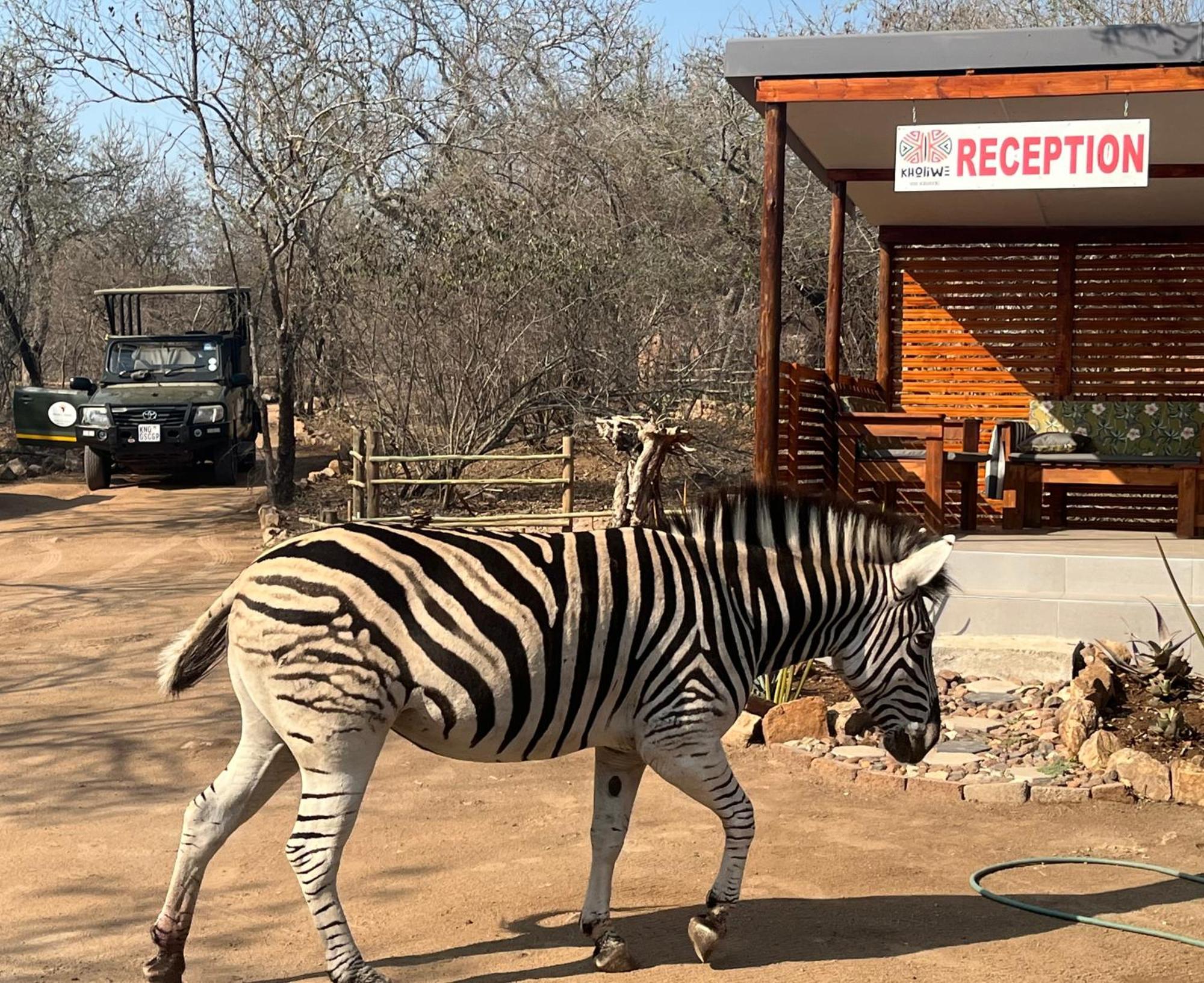 Kholiwe On Kruger Lodge & Safaris Marloth Park Extérieur photo