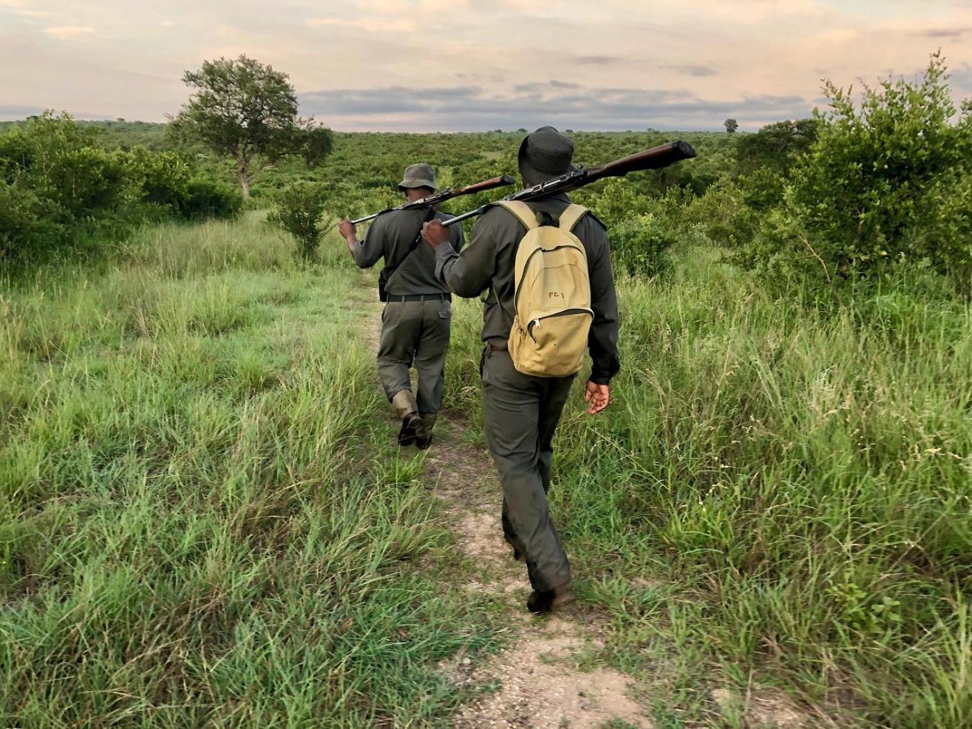 Kholiwe On Kruger Lodge & Safaris Marloth Park Extérieur photo